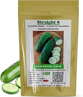 Cucumber Seeds (Approx. 100 Cucumber Seeds) Straight Eight Cucumber Seeds