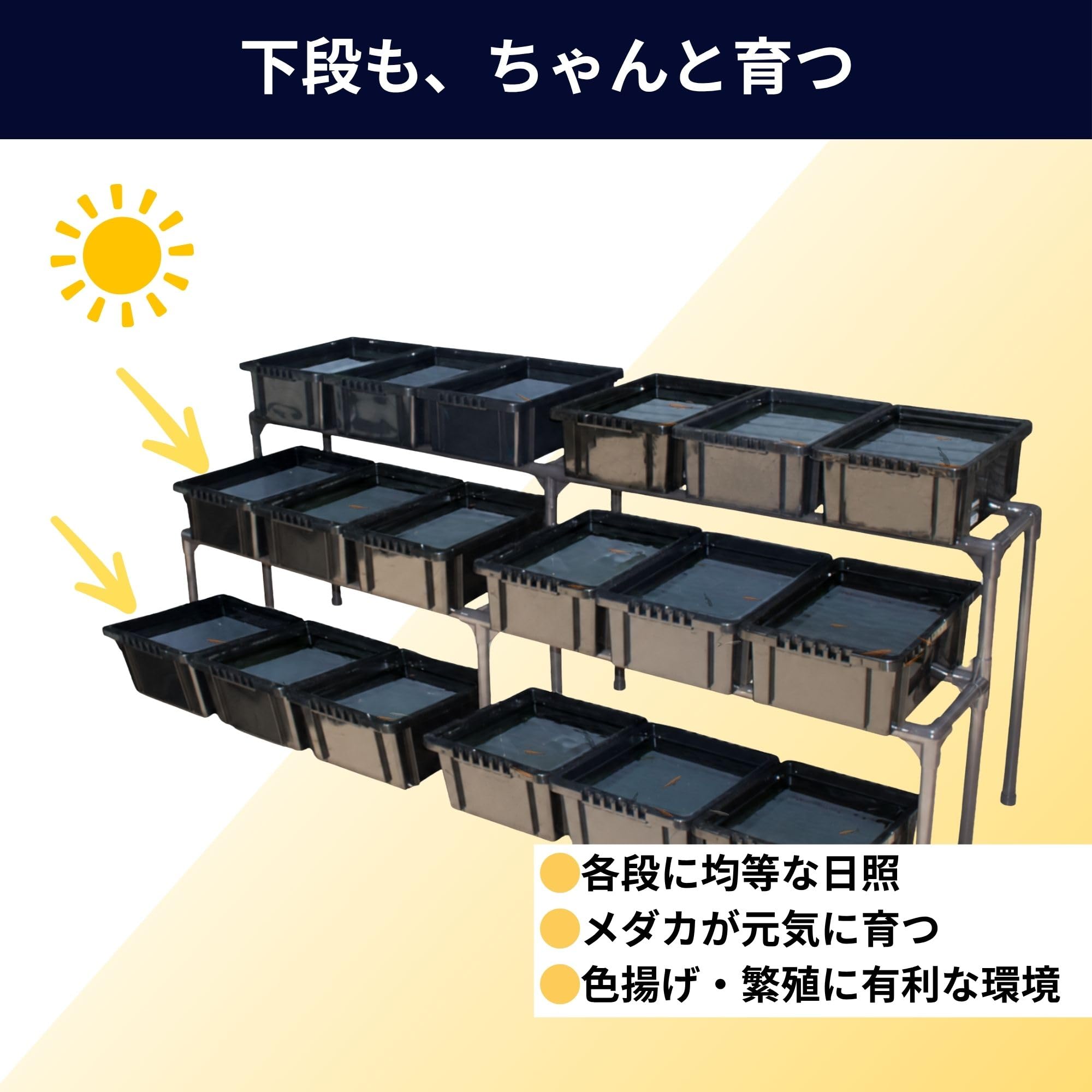 Amazon.co.jp: メダカ飼育ラック (NV BOX 13専用 2段ワイドタイプ