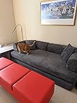 Review Image by Amazon Customer