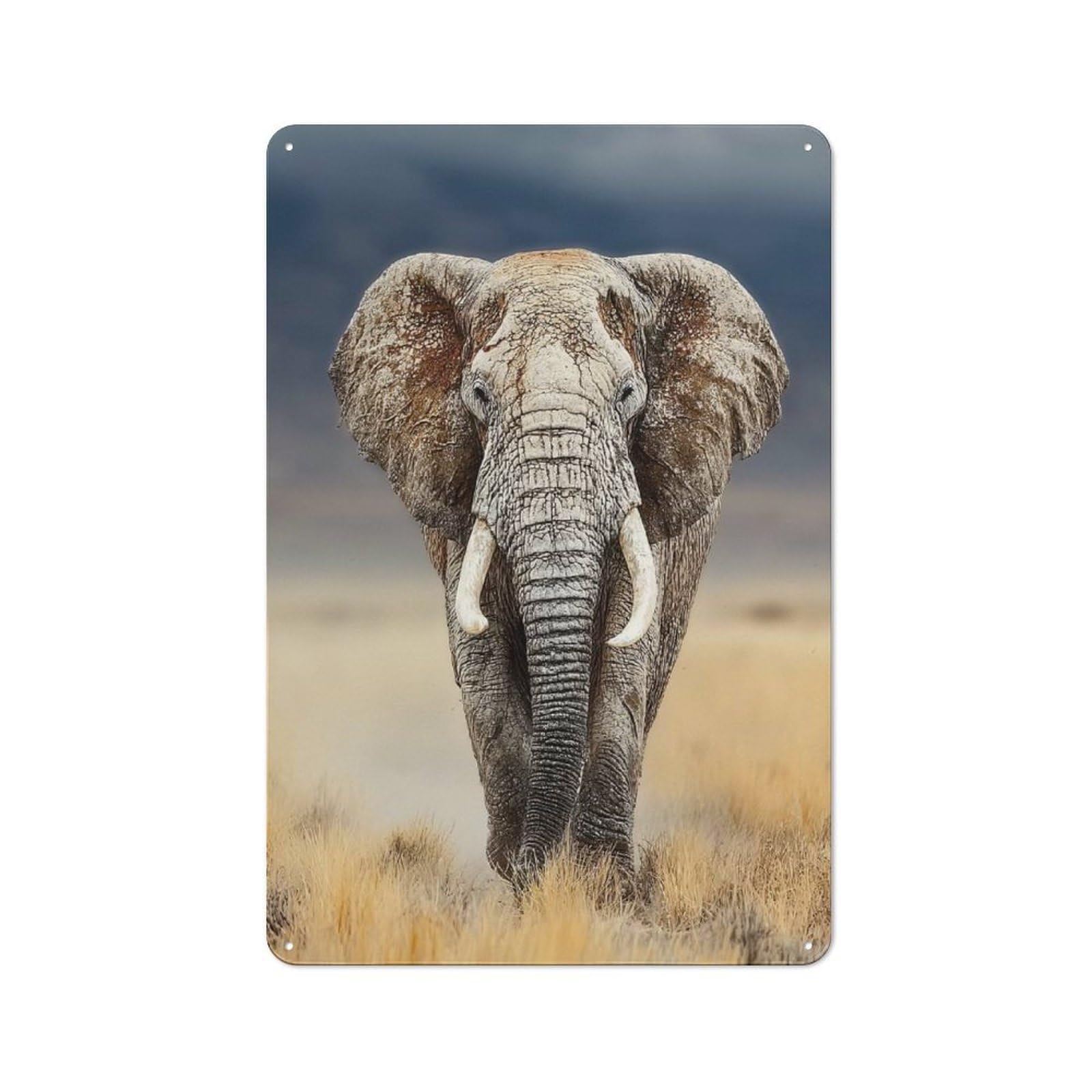 Vintage Majestic Elephant Portrait Tin Sign 30x20cm, Shed Wall Plaque for Garage, Workshop, Shed Or Utility Room