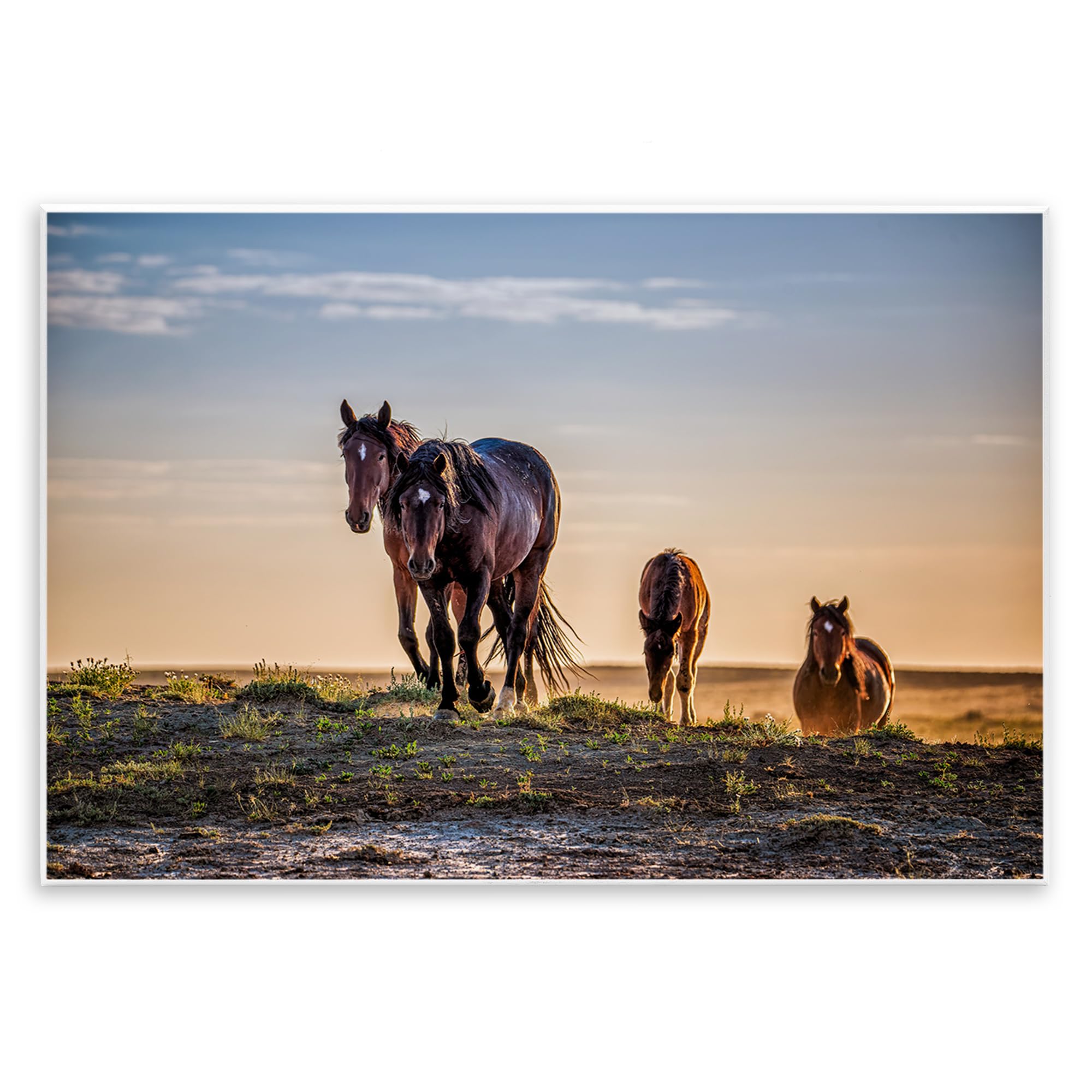 Stupell Industries Unframed 'Horses Coming Home'| Wall Plaque Art