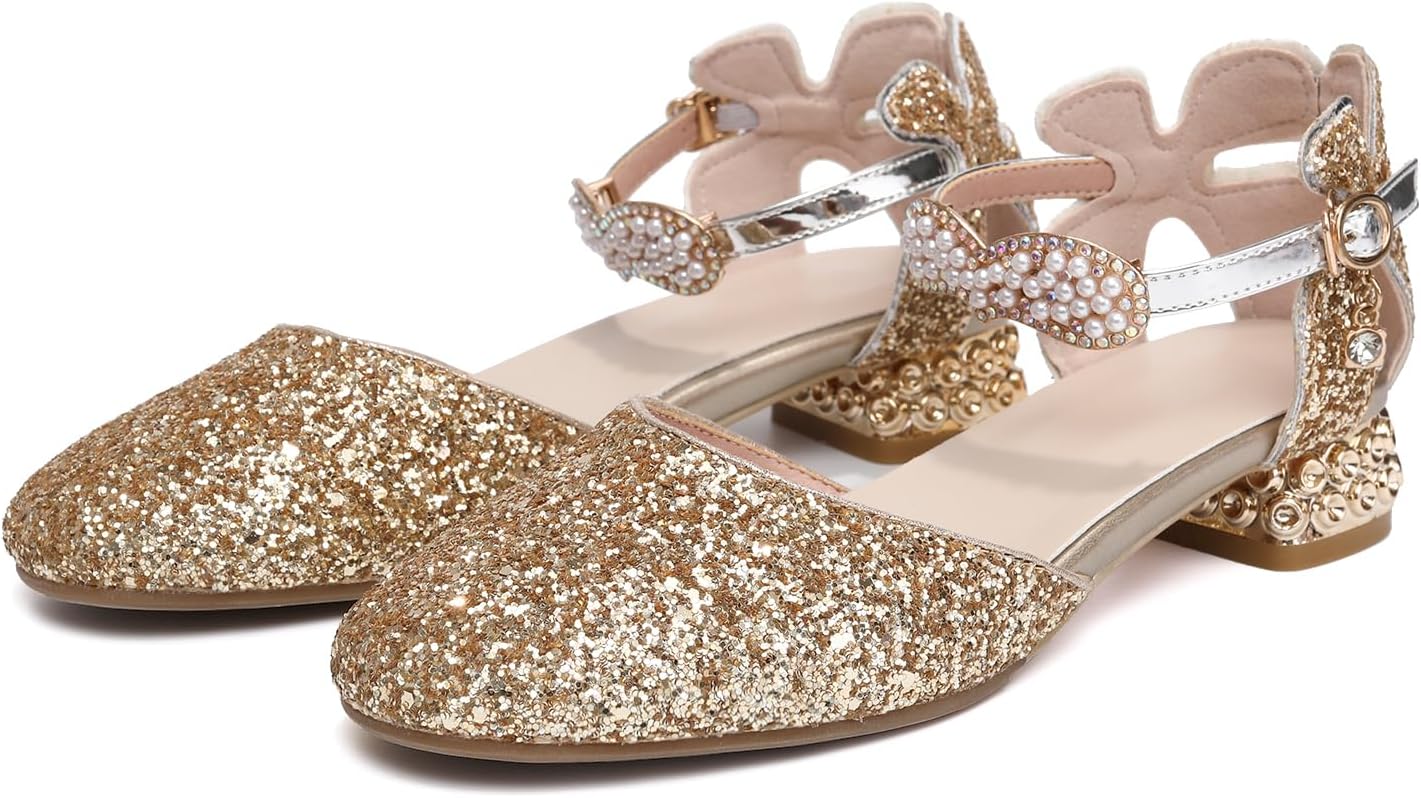 Girl's Ballroom Dance Shoes Glitter Low Heel Performance Latin Salsa Tango Ballroom Wedding Party Shoes,Model DS-63