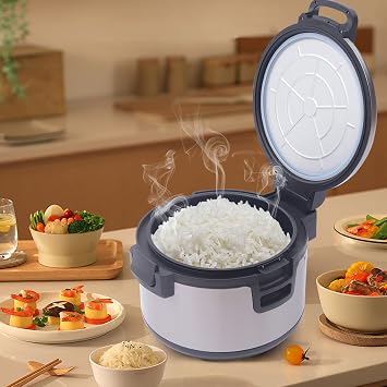 Commercial Electric Rice Warmer, 20QT Stainless Steel Heavy Duty Food Warmer, Non-Stick Pot Soup Warmers Sushi Rice Warmer for Restaurant Party Family