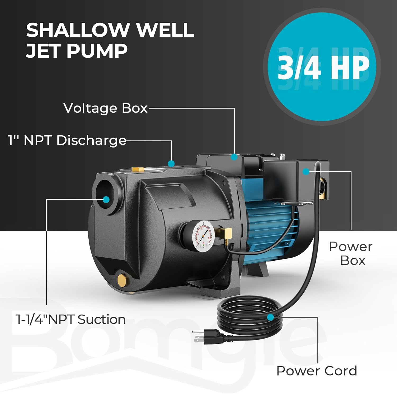 3/4HP Shallow Well Jet Pump, 115V/230V Durable Cast Iron Pump, Well Depth up to 25 ft, Automatic Pressure Switch, for Farm, Lawn, Garden