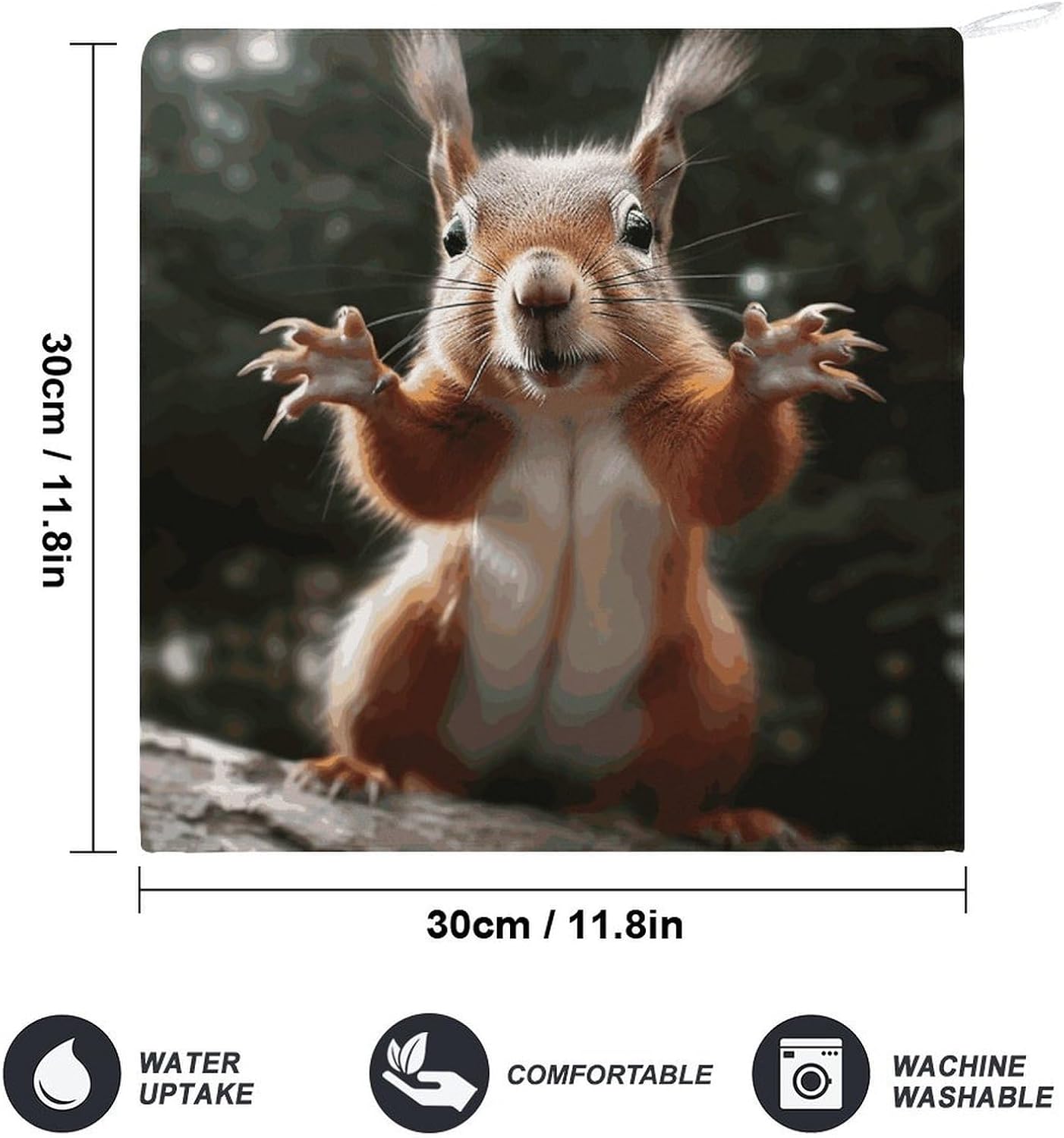 Squirrel Funny Animal Kitchen Towels Set -1PCS Super Absorbent Hand Towels, Soft Face Towel Set with Hanging Loop Lightweight Quick Dry Microfiber Dish Towels for Yoga Camping Hotel Spa Travel image 2