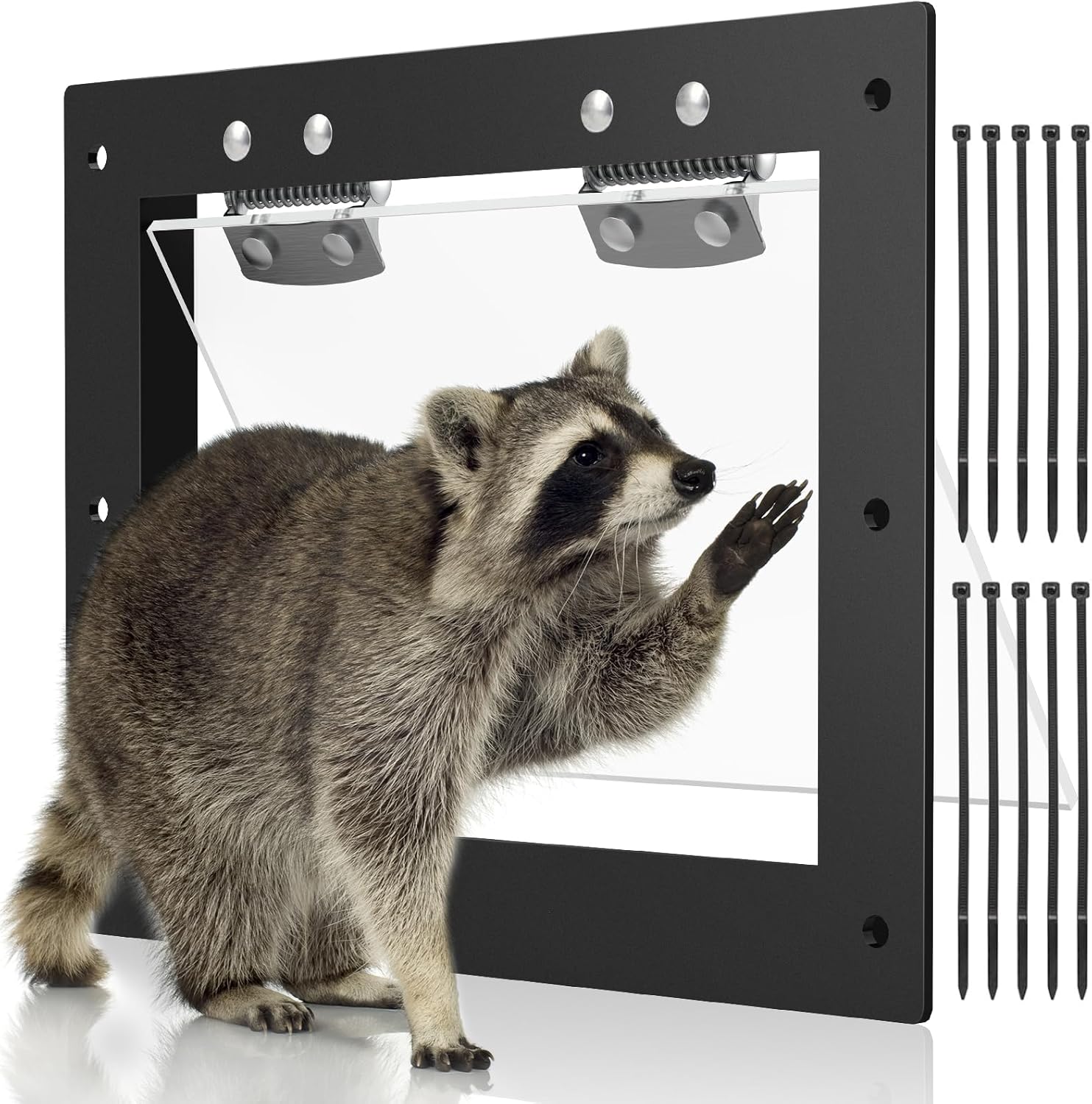 Amazon.com : Raccoon Trap Raccoon One Way Excluder Door - Contactless ...