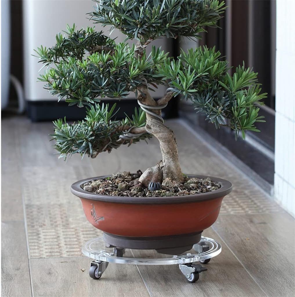 Removable Plant Stand Flower Pot Tray with Universal Wheel Heavy Duty Rolling Potted Rack(320mm)