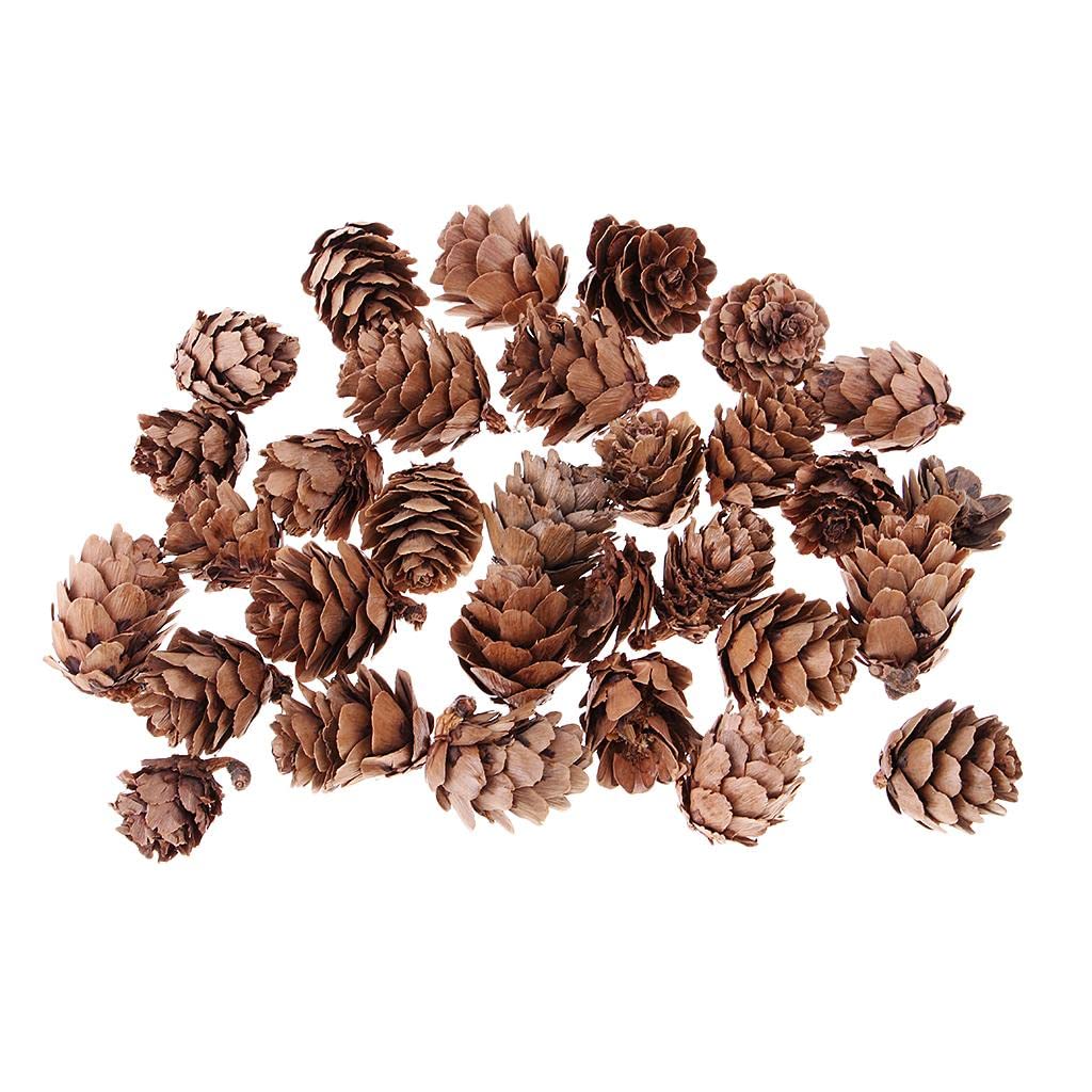 Mini Small Natural Dried Pine Cones in Bulk Dried Flowers for Christmas Decoration or Crafting Pack of 30 Pcs-image-38