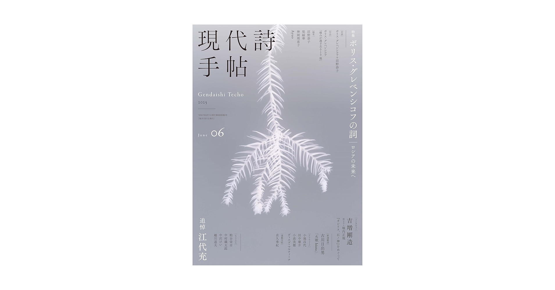 Amazon.co.jp: 現代詩手帖2025年6月号（雑誌） : 思潮社編集部: 本