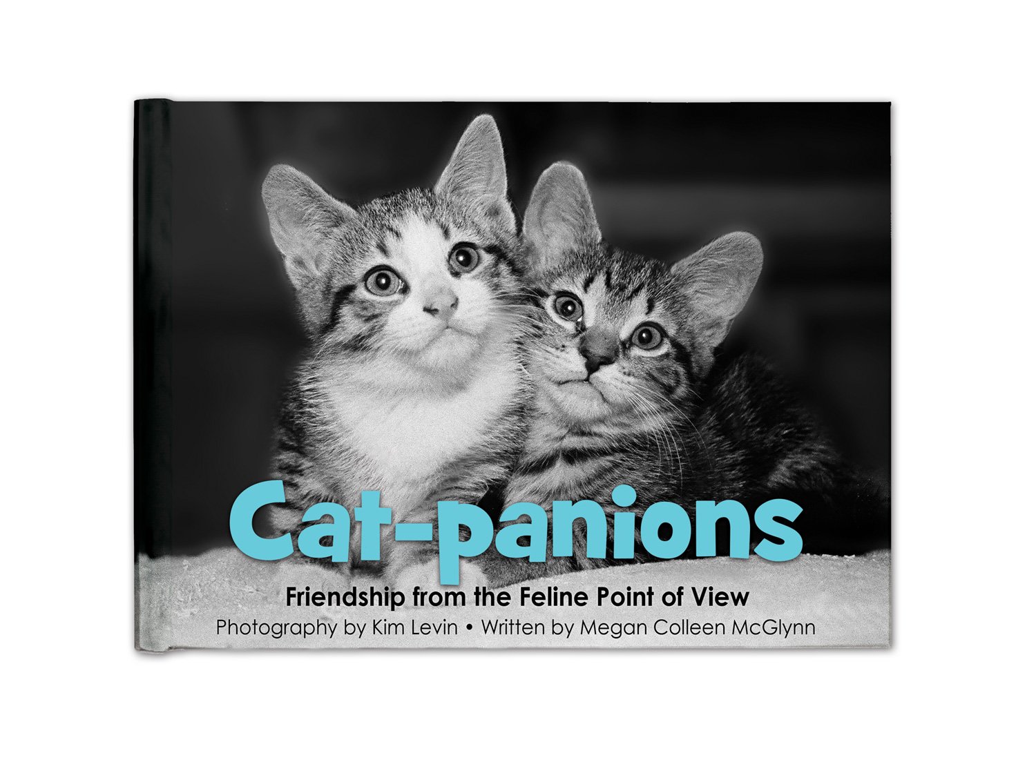 BrownlowGifts Cat Lovers Book, Cat-Panions