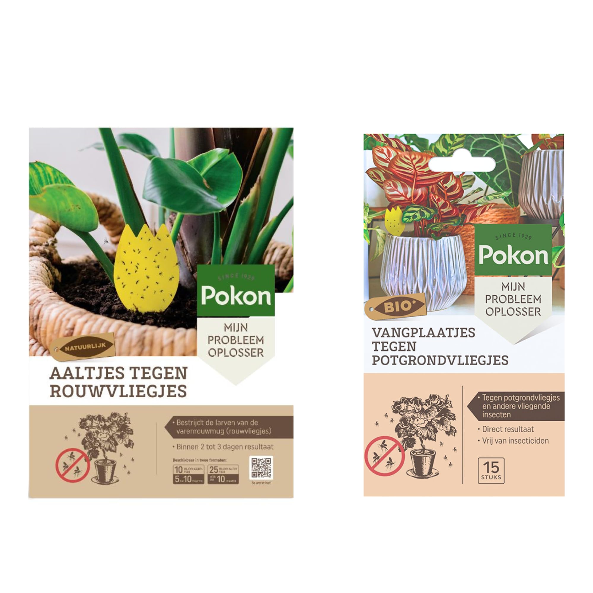 Pokon Nematoden gegen Trauermücken + Gelbtafeln - Komplettset zur Bekämpfung - Für mehr als 10 Pflanzen & 15 Bio Fangbilder - Gegen Larven & Fliegen