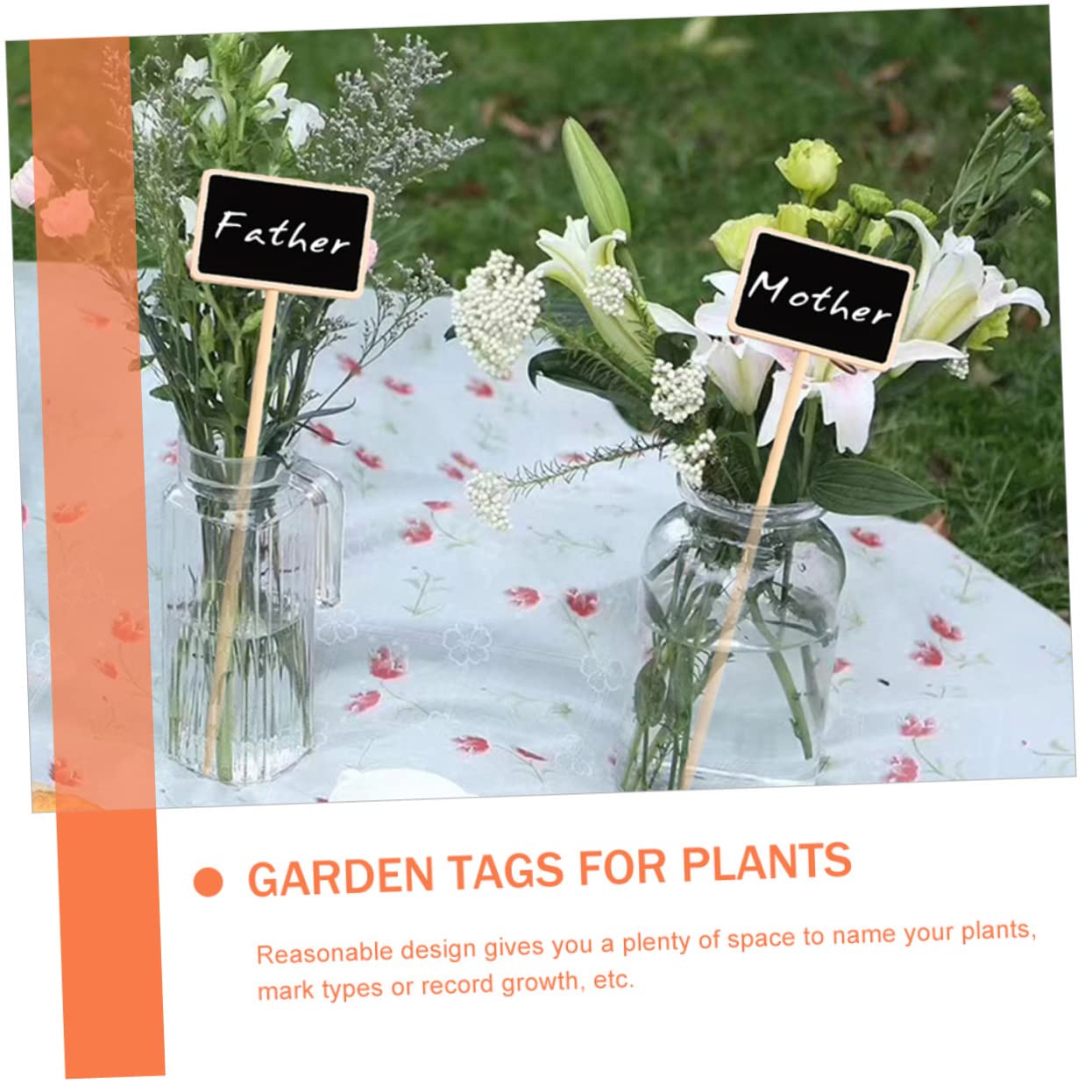 BESPORTBLE 3 Set Di Etichette Per Piante Grasse Da Giardino Picchetti in Legno Per Piante Facili Da Scrivere Identificazione Per Giardinieri 20 Pezzi*3