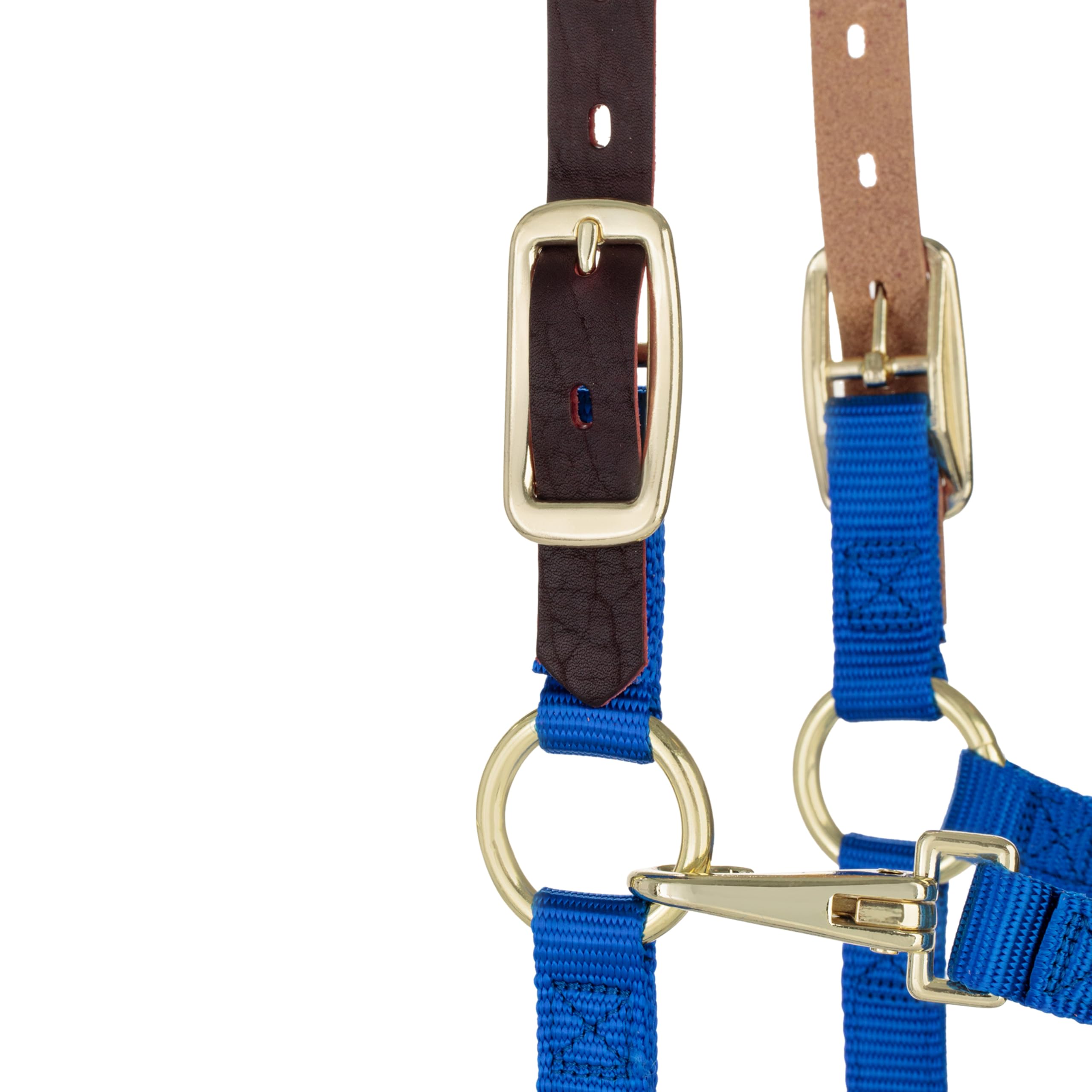 Weaver Leather, Cavezza Regolabile in Nylon per Cavallo, Blu, per svezzamento/Pony