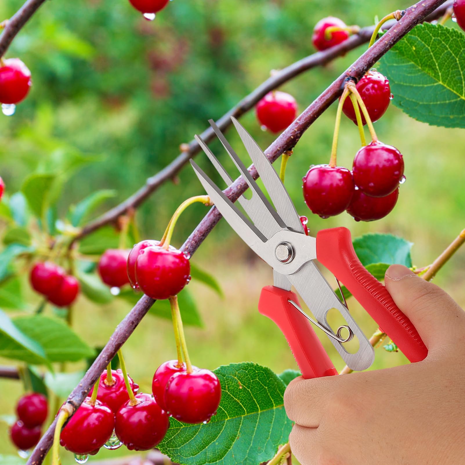 Toyvian 5stücke Garten Scheren Für Präzises Beschneiden Professionelle Pflanzenschneider Mit Rutschfestem Griff Für Obstbäume Und Zierpflanzenpflege