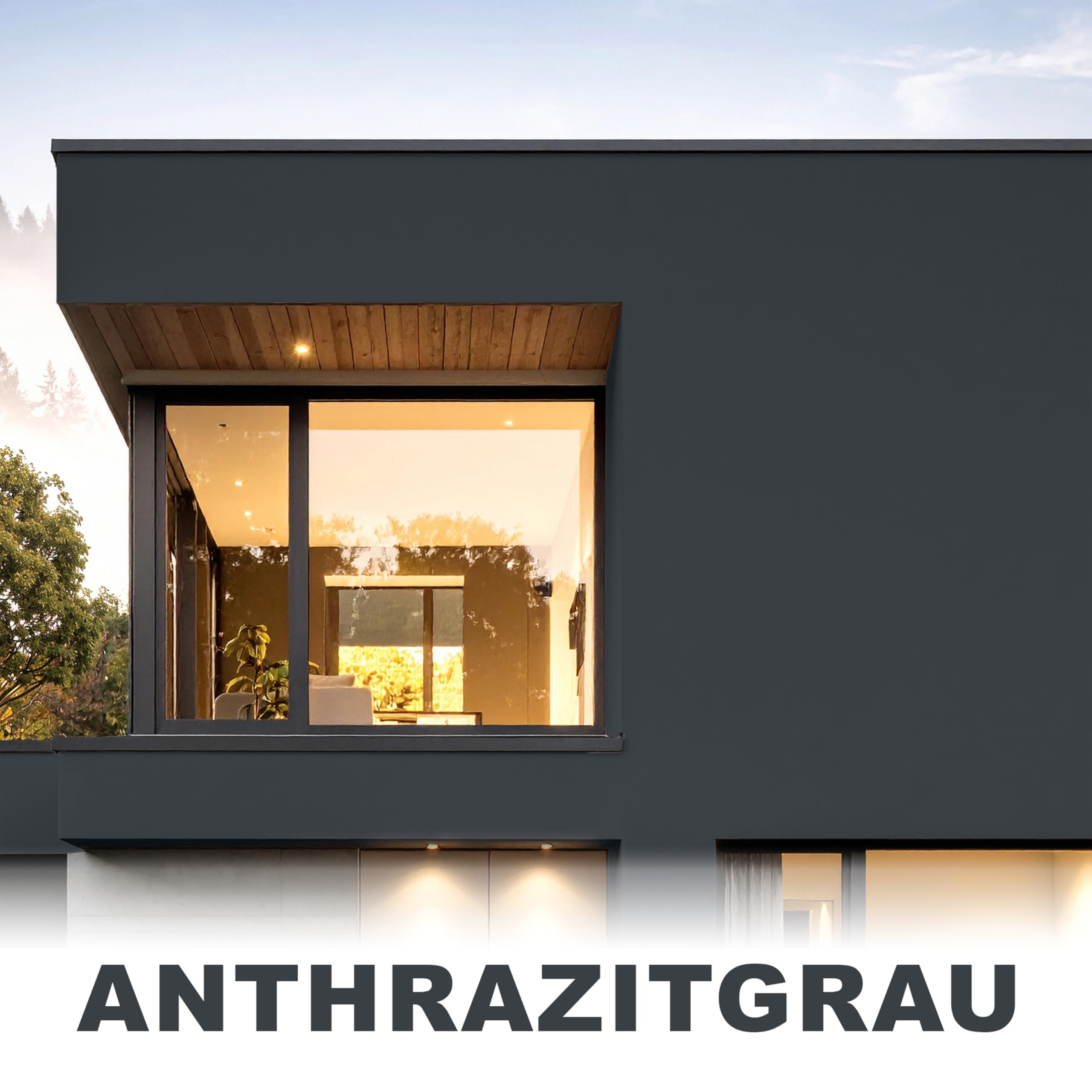 WO-WE Nano Fassadenfarbe W520 Wandfarbe für Außen Mauer Fassade Anthrazitgrau - 750ml