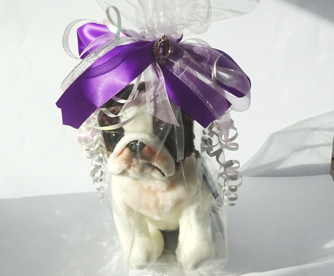 German Short Haired Pointer 12" Plush Toy Dog Plushie Can Be Personalized & Customized With An Engraved Tag, Collar and Stunning Gift Wrap