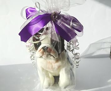 German Short Haired Pointer 12 Plush Toy Dog Plushie Can Be Personalized & Customized With An Engraved Tag, Collar and Stunning Gift Wrap