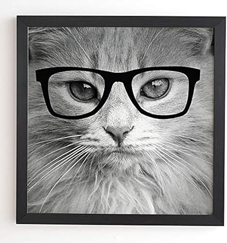 Deny Designs Allyson Johnson - Arte de pared enmarcado negro, 12 x 12 pulgadas, gato hippest
