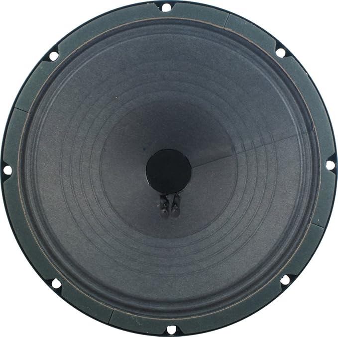 Altavoz Jensen Vintage P10R8 Alnico 10 Pulgadas, 8 ohm miniatura 4