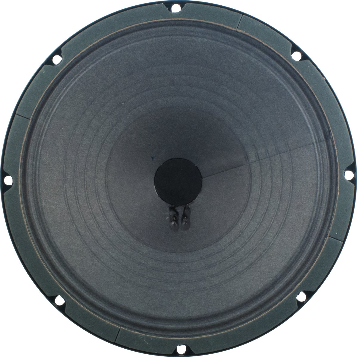 Amazon.com: Jensen Vintage P10R8 10-Inch Alnico Speaker, 8 ohm