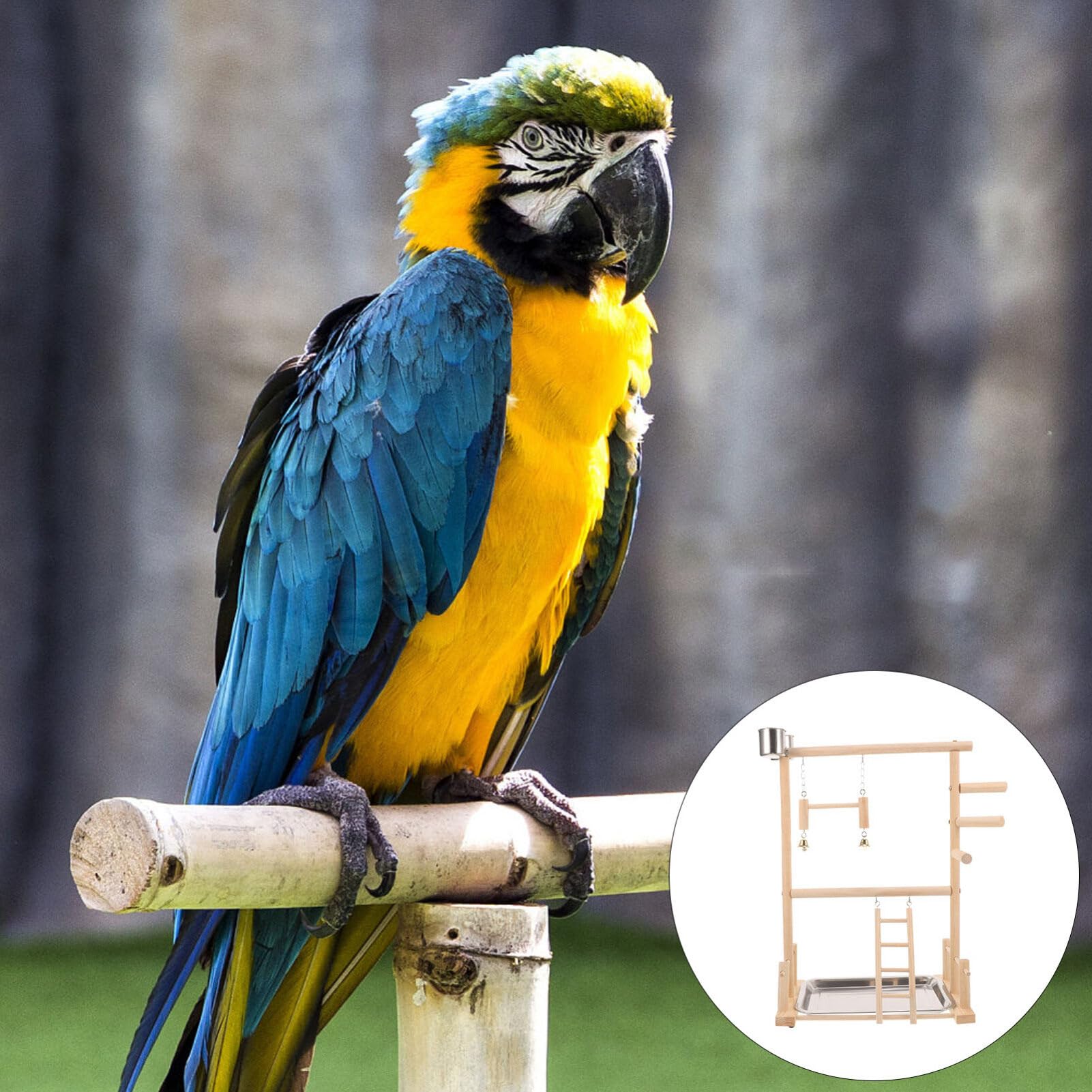 POPETPOP 1juego Soporte De Percha para Aves De Natural Estable y Duradero para Periquitos y Aves Pequeñas para Voladeras y Entrenamiento Casa