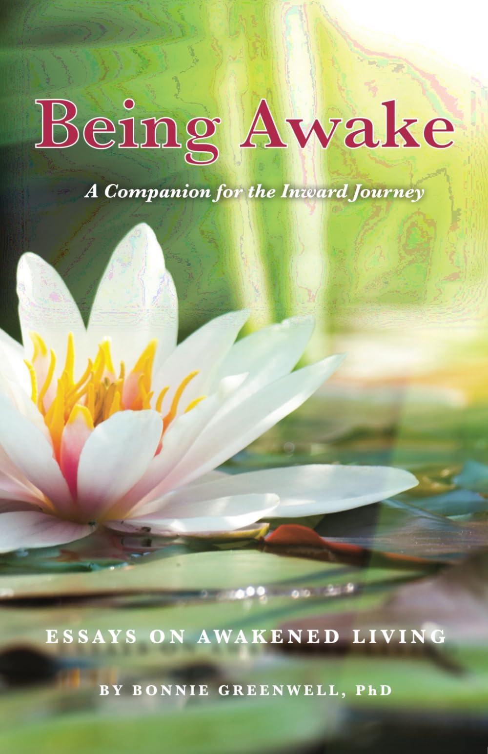 Being Awake: Essays on Awakened Living Paperback – October 27, 2023