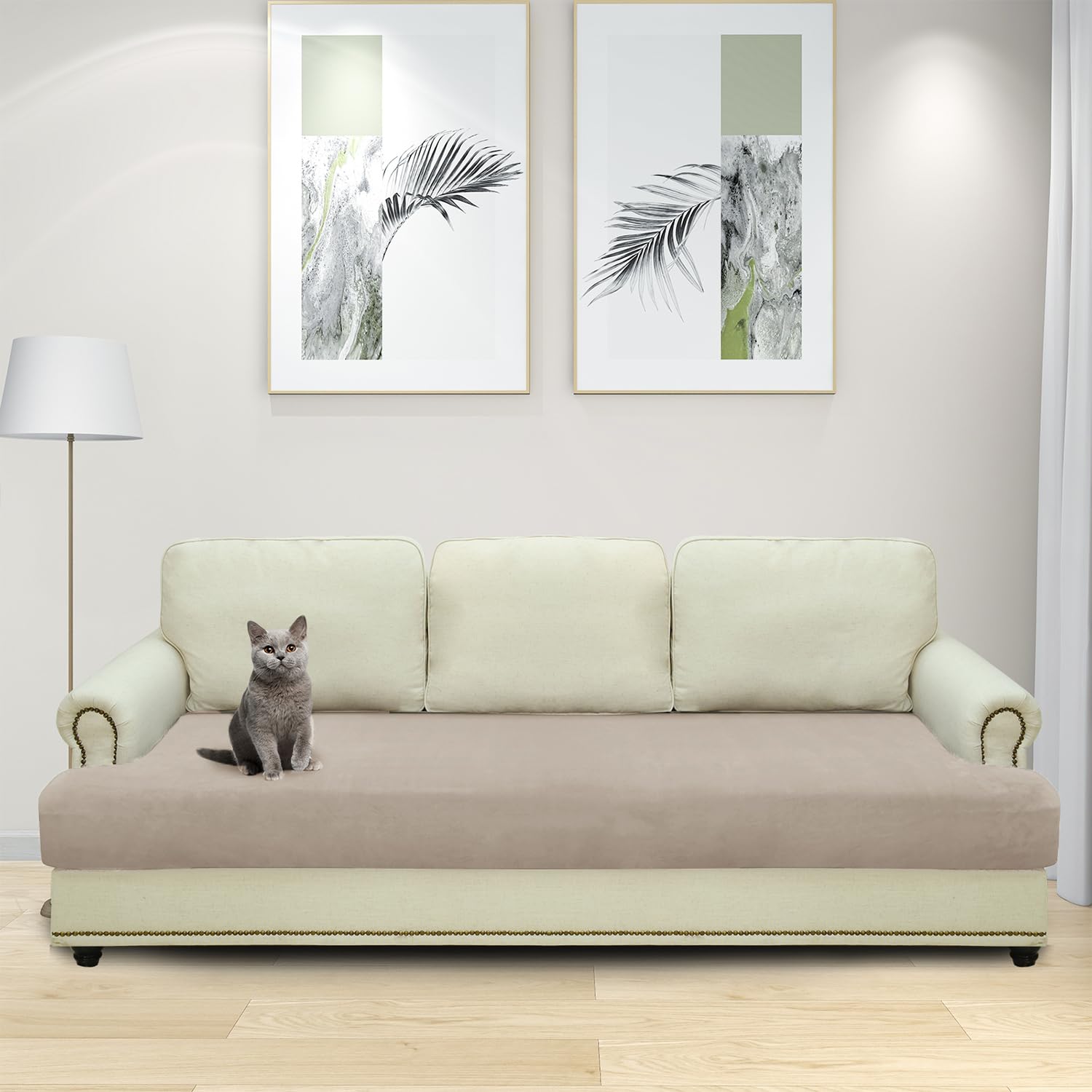 CHELZEN Velvet Sofa Seater Cushion Cover, Super Stretch Sofa Cushion Slipcovers - Image 2