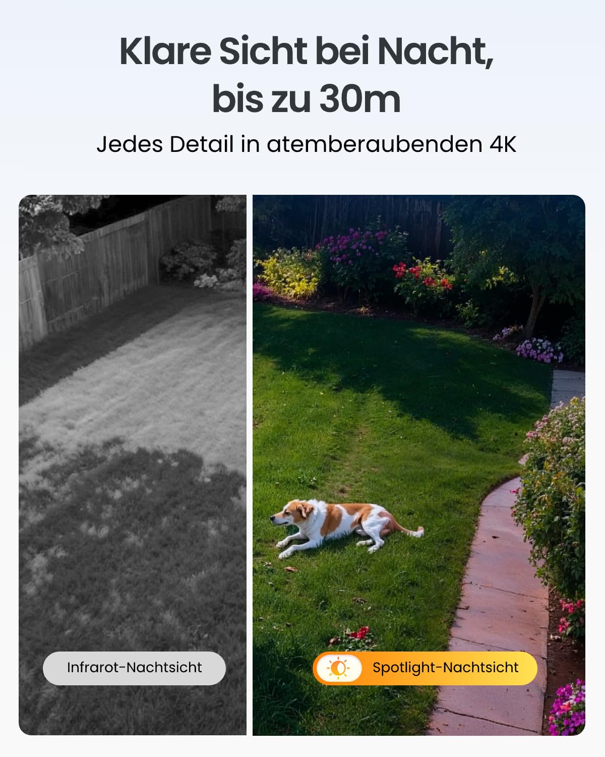 Reolink 4K PTZ Überwachungskamera Aussen Akku mit Auto-Tracking & Auto-Zoom | Dual Lens, Dual-Band WiFi 6, 30m Farbnachtsicht, KI-Erkennung, PTZ, 8MP Solar WLAN Kamera Outdoor, TrackMix Grau+Solarpanel