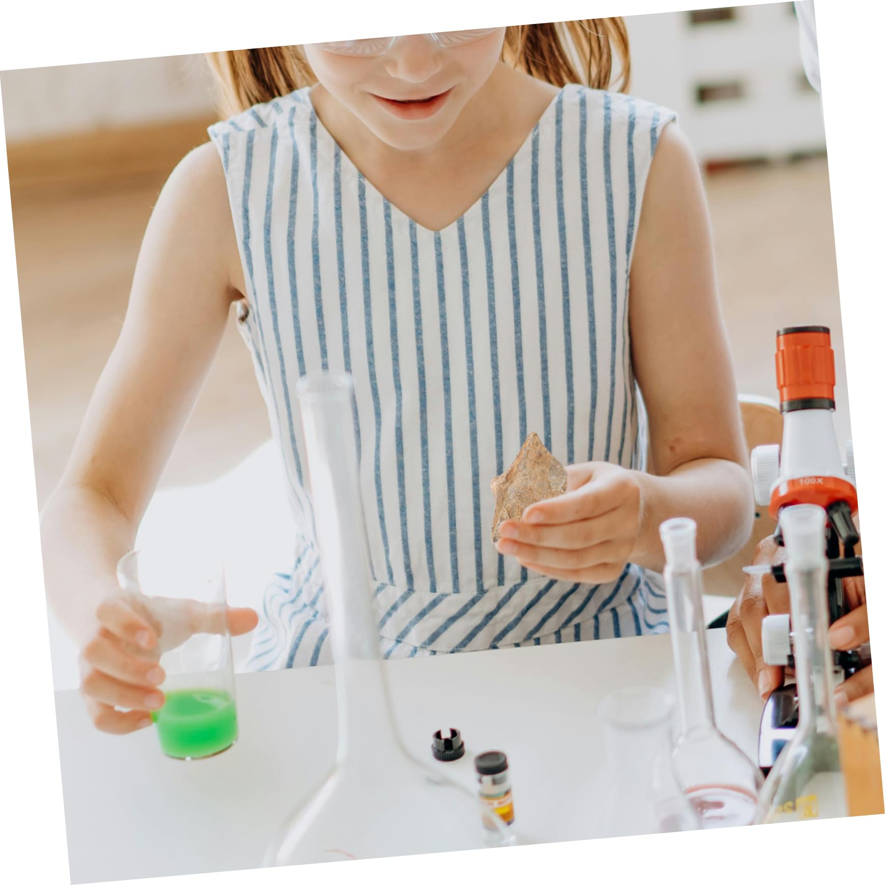 BELLIFFY 2pcs Models Toys Models Ornament Teaching Accessory Natural Shell Specimen