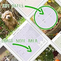 Vista 152 de Razas de Perros 2017