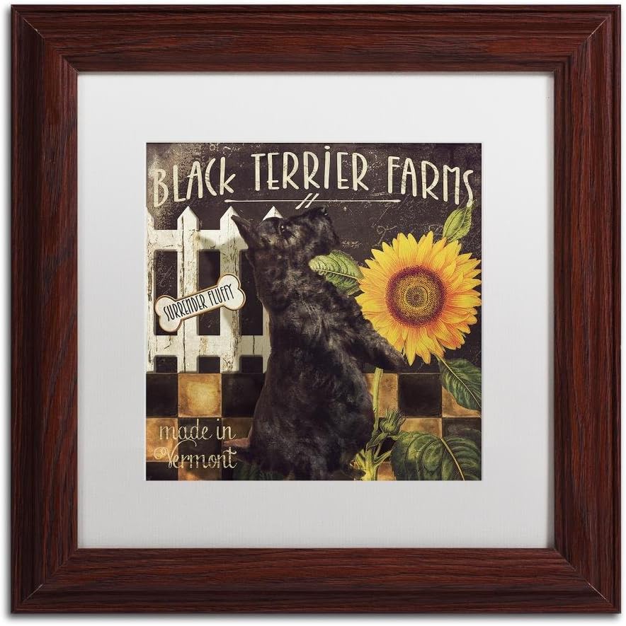 Trademark Fine Art ALI4639-W1111MF Vermont Farms V, 11x11-Inch, 11x11