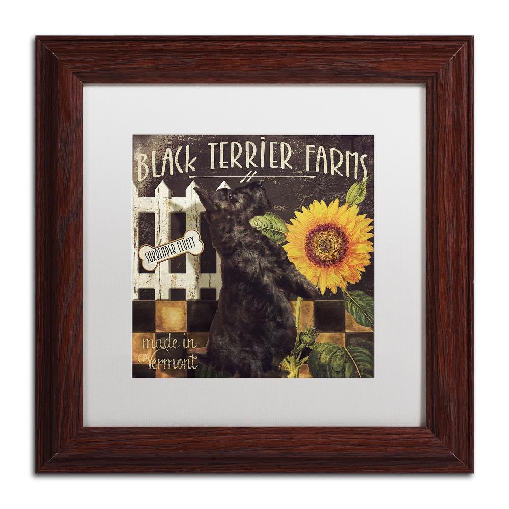 Trademark Fine Art ALI4639-W1111MF Vermont Farms V, 11x11-Inch, 11x11
