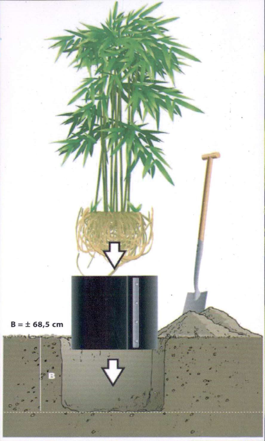 Bambussperre|Wurzelsperre|Rhizomsperre 70 cm x 5 m HDPE mit Schiene :  Amazon.de: Garten