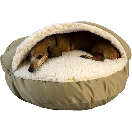 dog bed snoozer