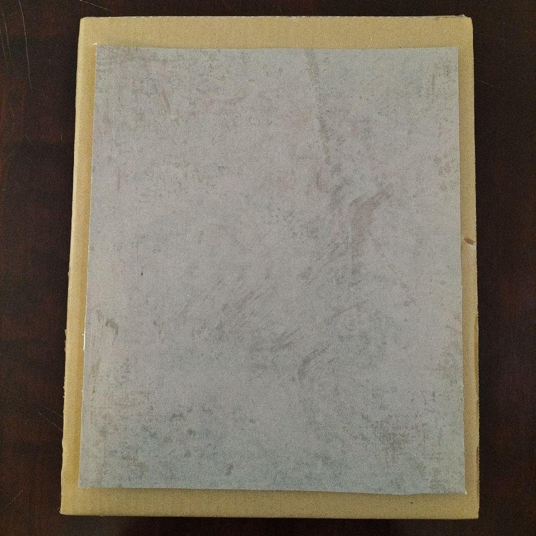 完成版】デイビッド ミラー 絵画 イルカ 海 パズル 1000ピース