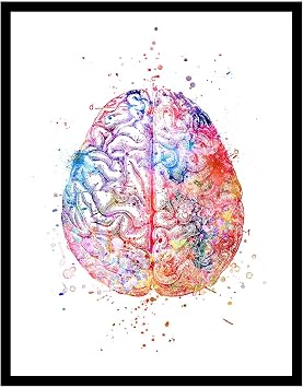 ZEARPT Watercolor Anatomy Brain Wall Art, Vintage Anatomical Brain Art Print Poster, Neuroscience Medical Office Decor Gift for Doctor Nurse Psychologist Student, Unframed 8x10 Inch
