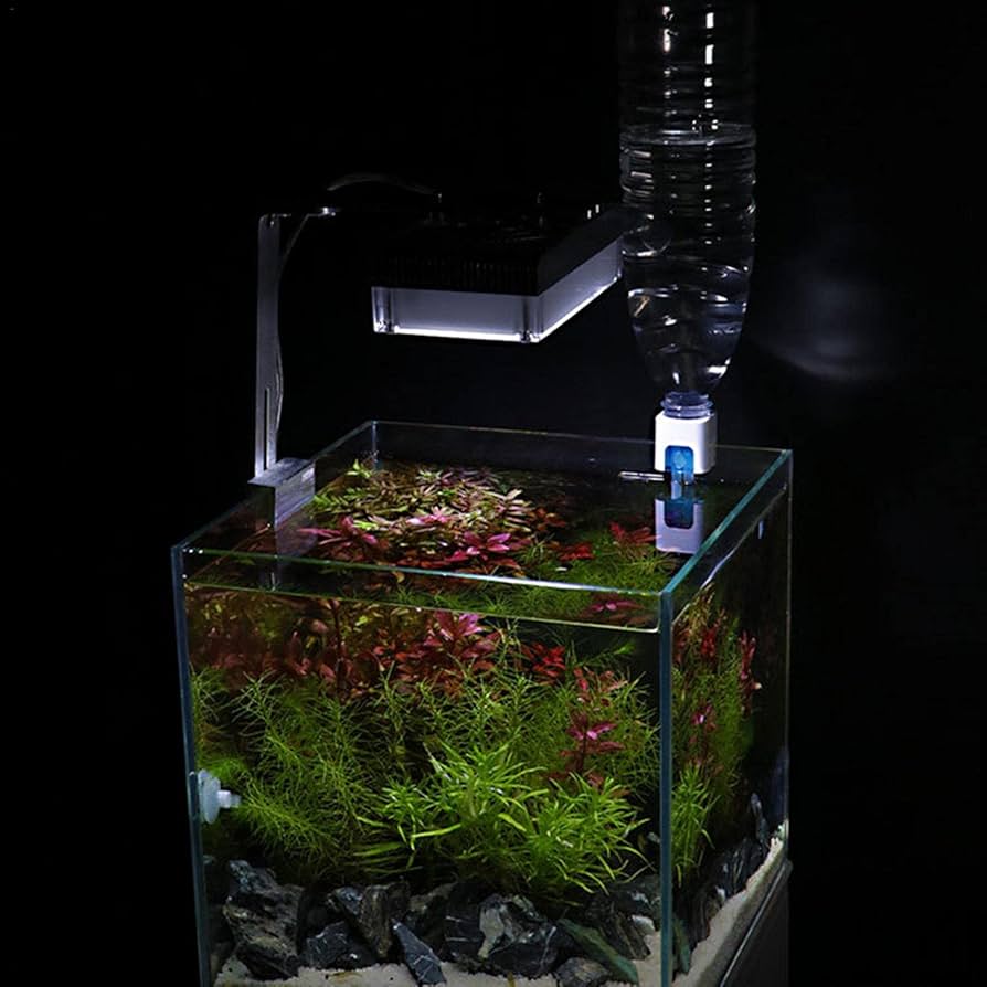 水槽用自動給水機 Amazon.co.jp: 自動給水器水足しくん 自動給水器 差圧の原理