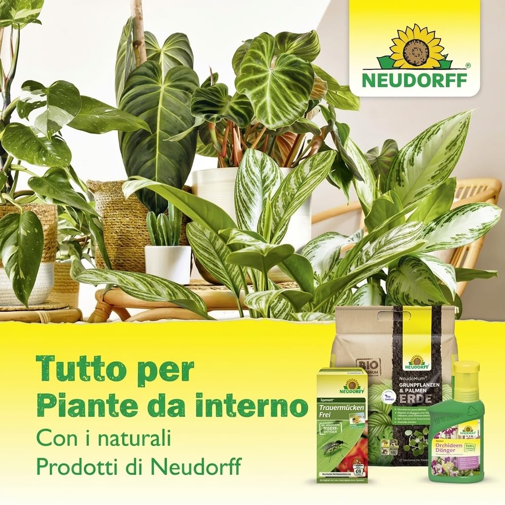 Neudorff Duo Sticky Traps – Trappole adesive blu contro i tripidi e trappole adesive gialle contro i moscerini sciaridi. Senza insetticidi, 20 pezzi