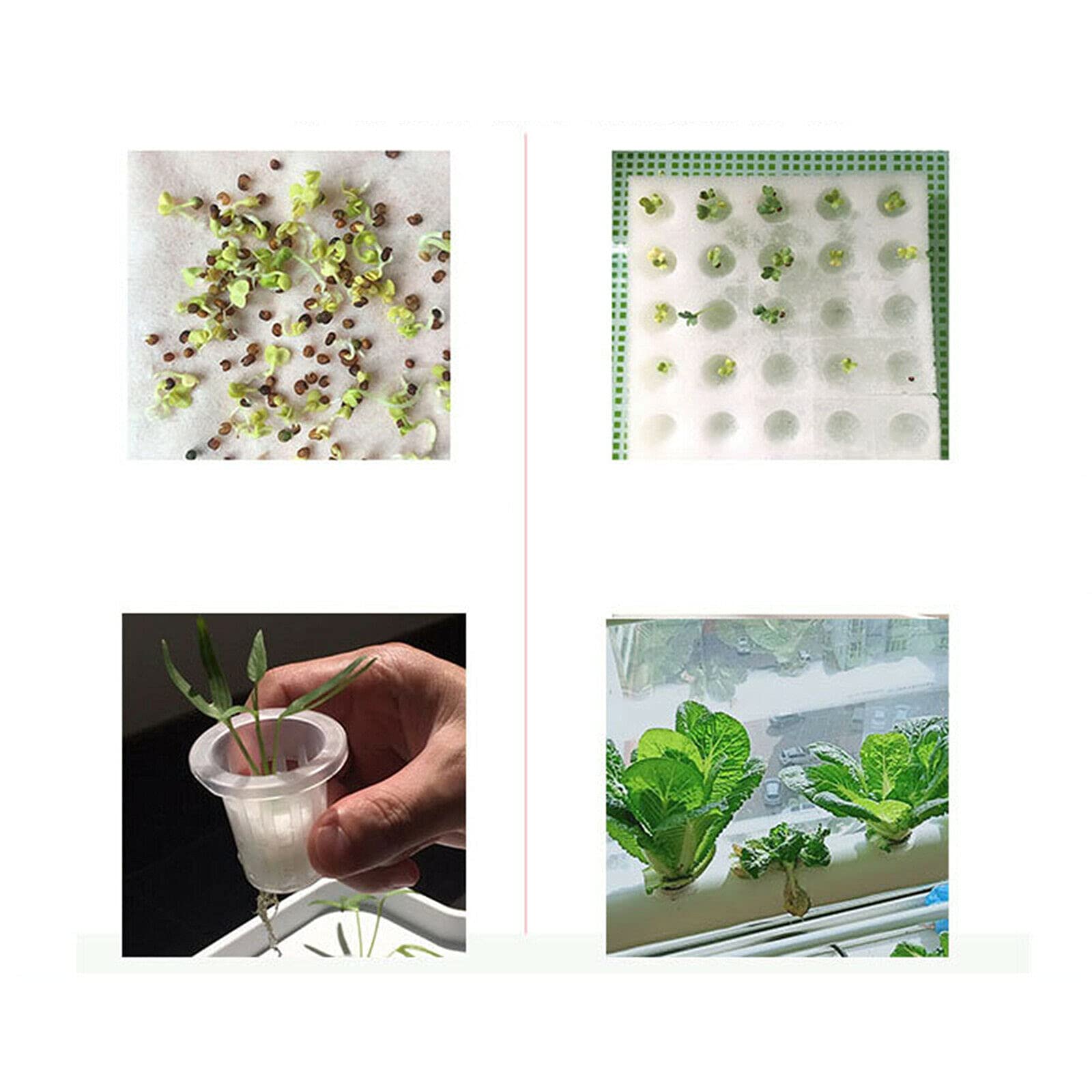Hydroponic Site Tubos, Kit Crecimiento 36 Agujeros Sistema hidropónico PVC-U, Sistema Cultivo hidropónico Herramienta Cultivo Verduras Kit Cultivo para casa, balcón, jardín