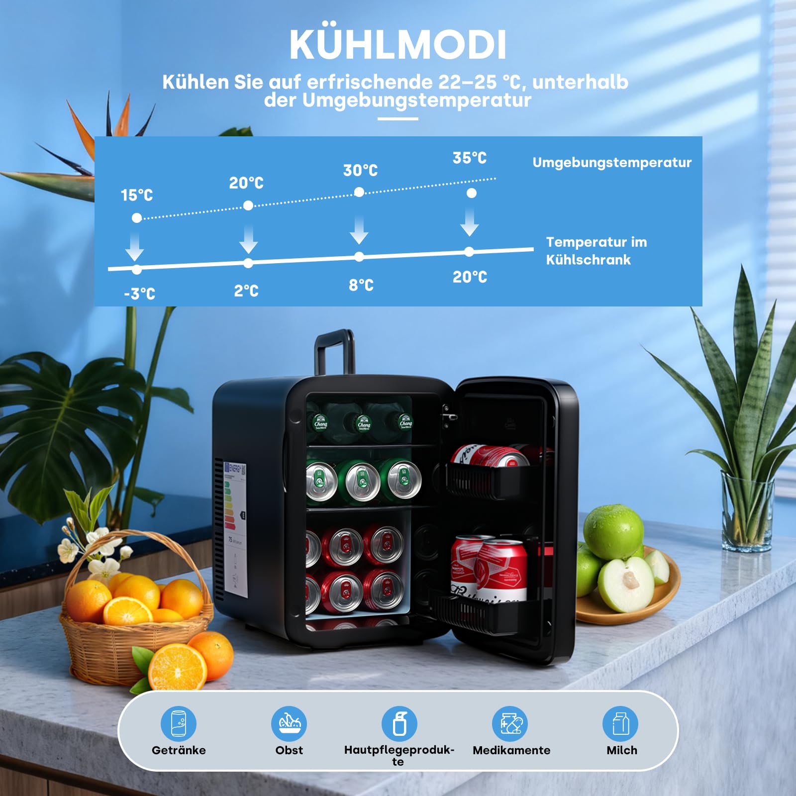 Enventor 15L Mini-Kühlschrank, 220V AC/ 12V DC, Schwarz