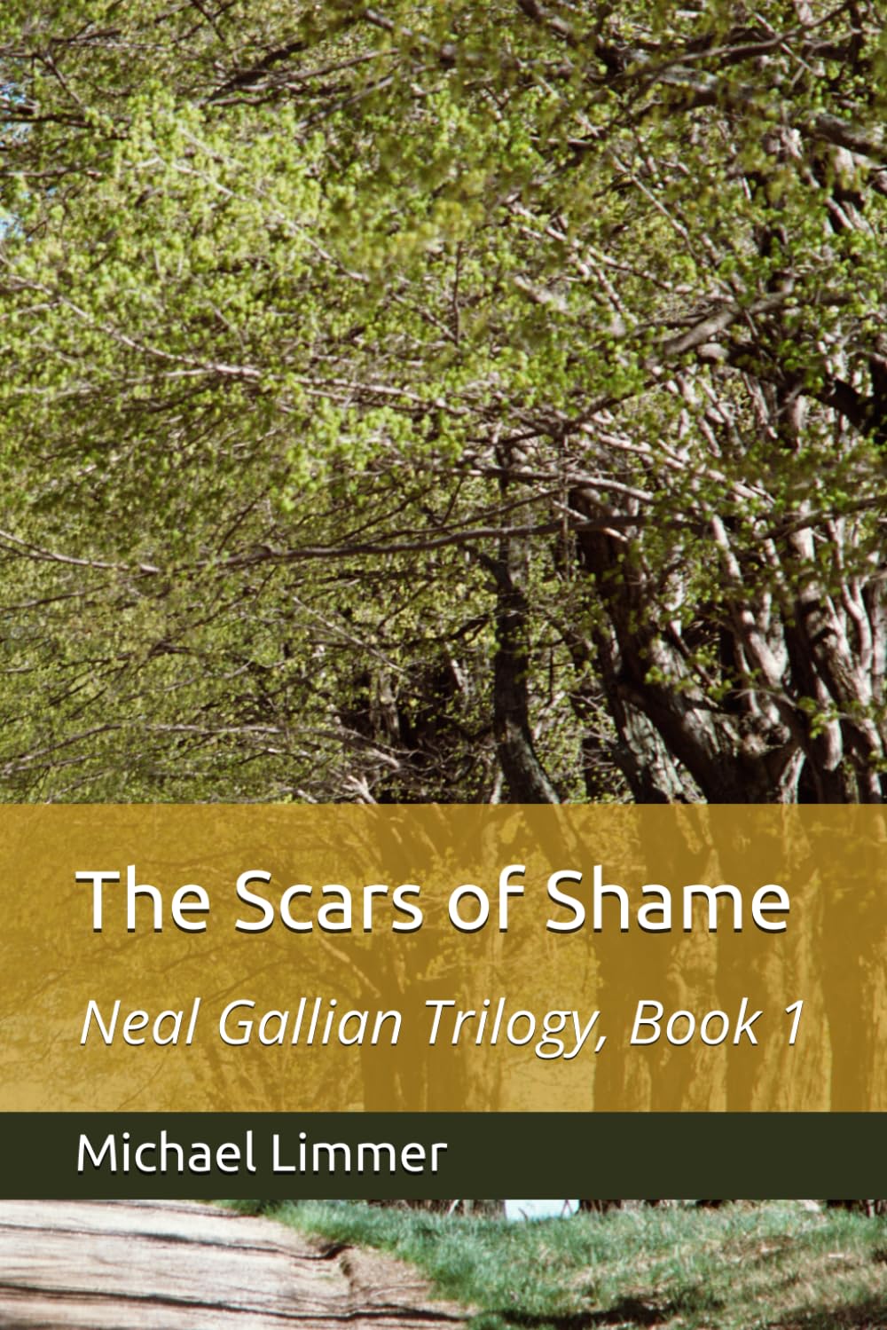 The Scars of Shame (Neal Gallian Trilogy)