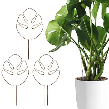 モンステラ 鉄スタンド　黒 モンステラ 鉄スタンド 黒 モンステラ 鉄スタンド 黒