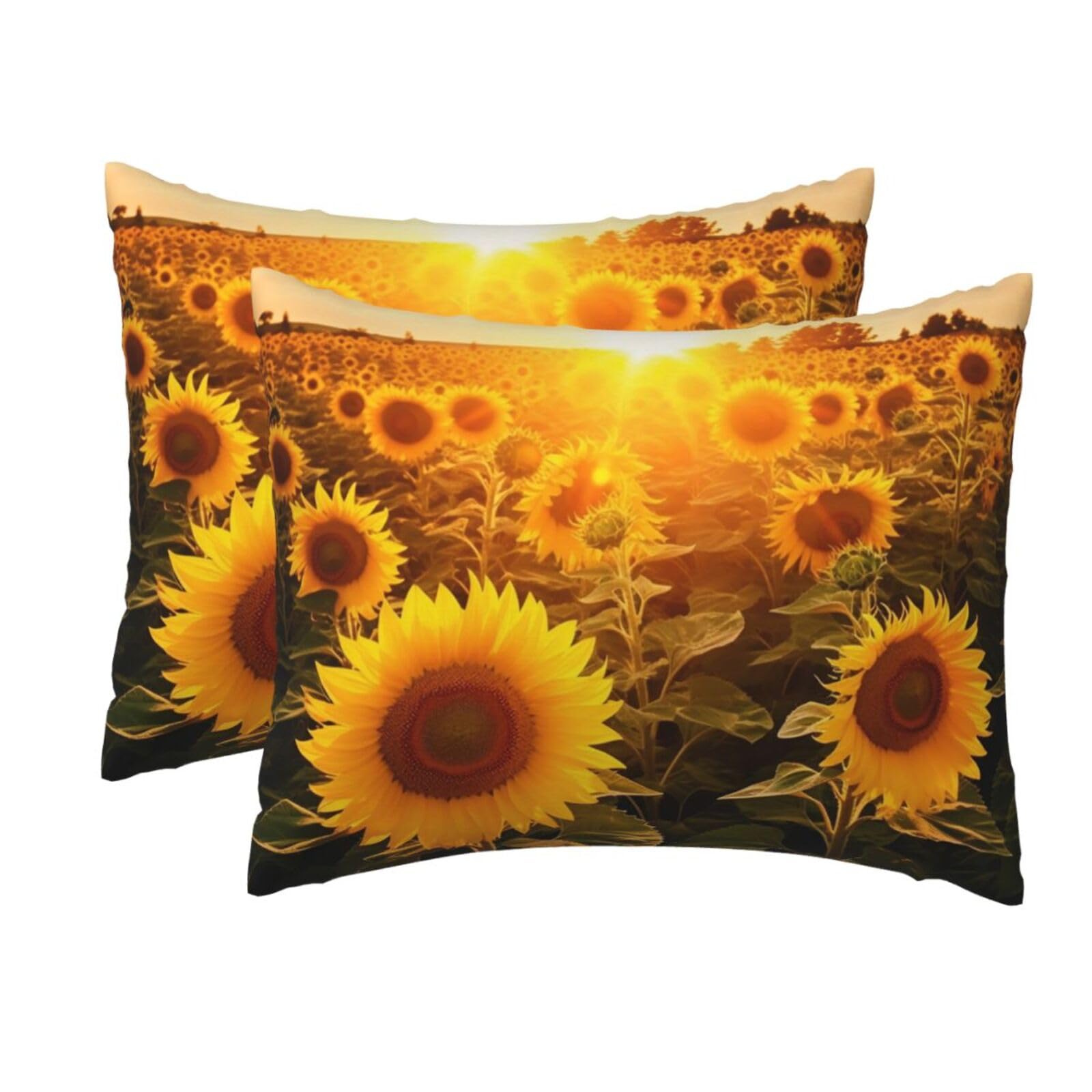 2 Pack Standard Pillow Cases with Hidden Zipper, Soft Breathable Pillow Covers for Hair and Skin, Sunshine Sunflower Field Pillowcases 20"x26" Bed Pillow Protectors Cover for Sleeping Gifts