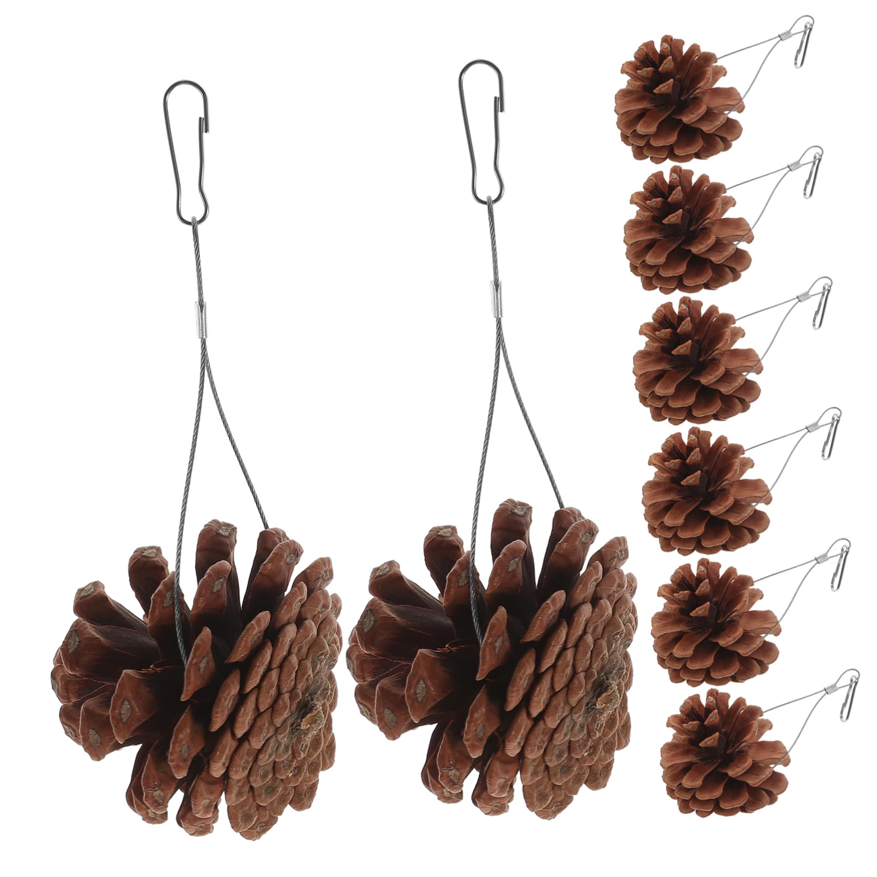 BESPORTBLE 20pièces Jouets à Mordre pour Oiseaux Pigne Naturel Accessoires De Jeu Suspendus pour Perruches Et Perroquets pour Forage Divertissement