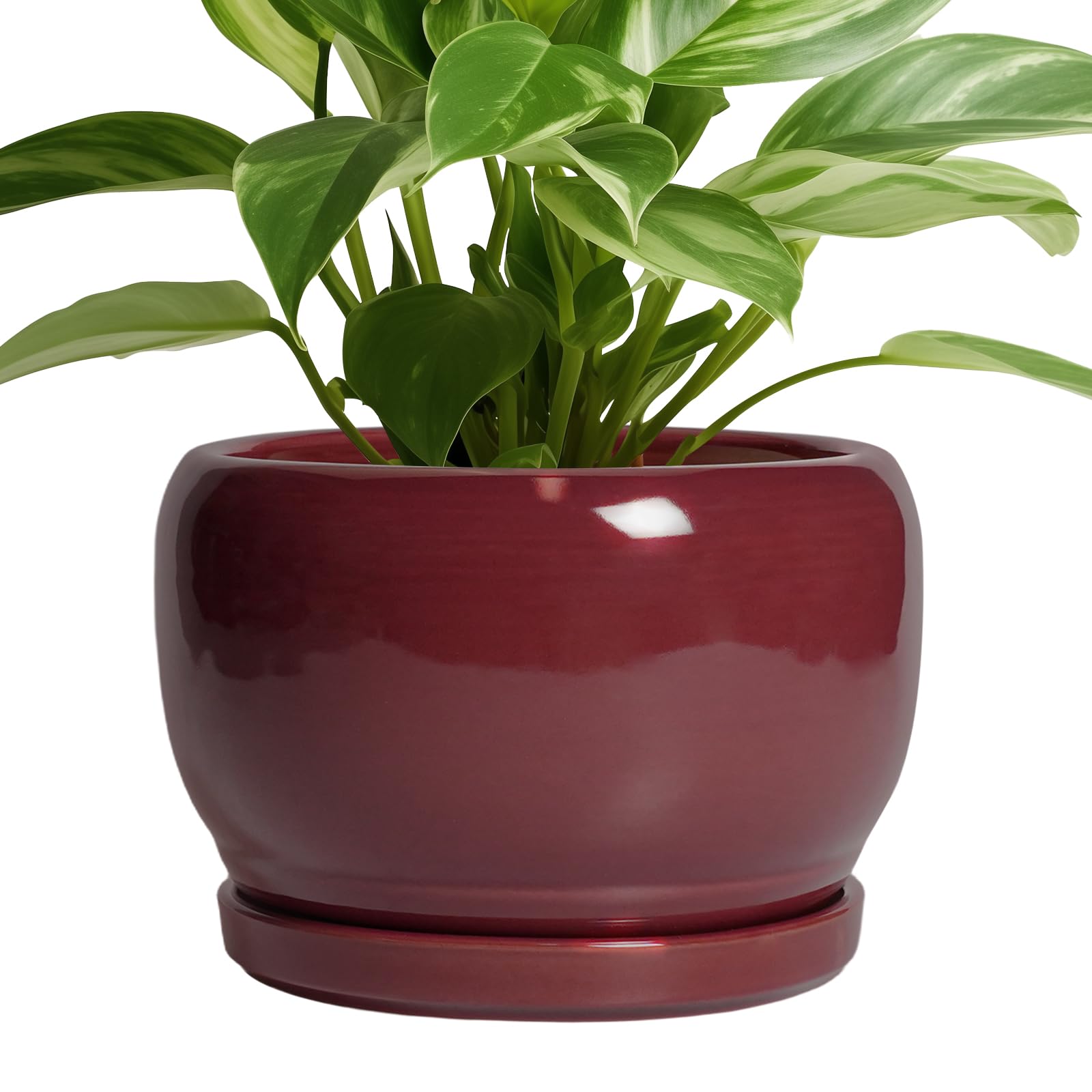 SQOWL Ceramic Planter - 8 Inch Plant Pot with Drainage Hole and Saucer, Round Planter for Indoor Outdoor Plants, Modern Decorative Flower Pots, Home