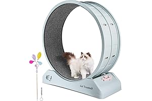 Cat Exercise Wheel 31.5