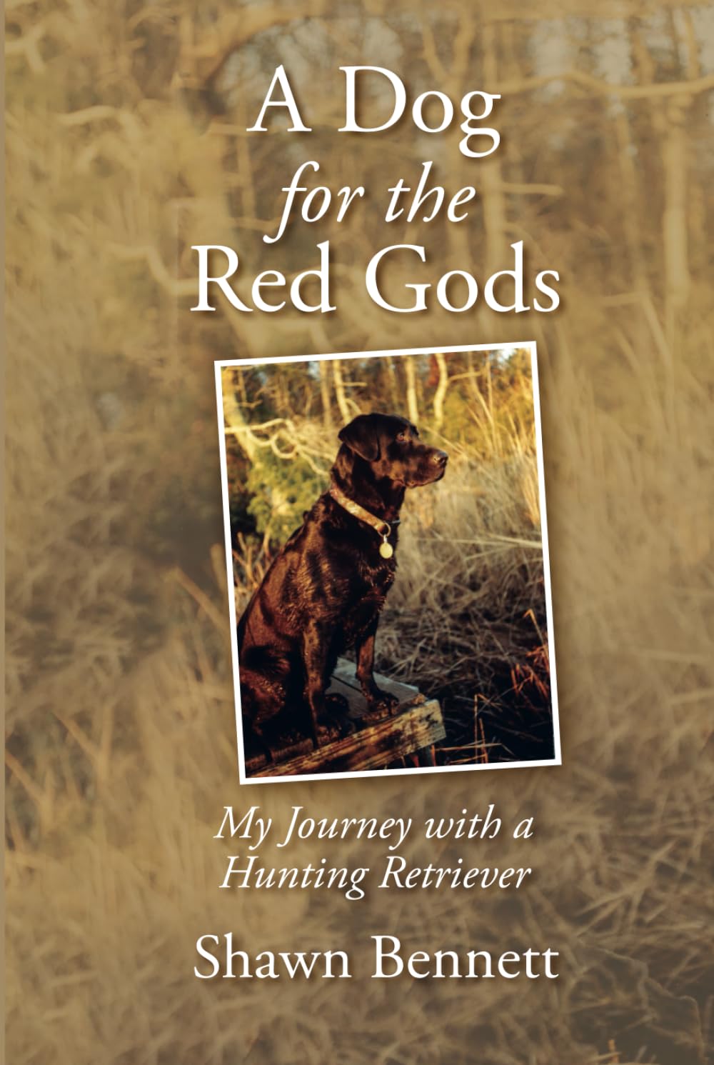 A Dog for the Red Gods: My Journey with a Hunting Retriever      Hardcover – July 4, 2024