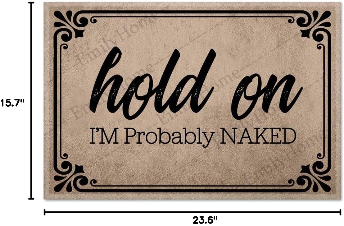 Hold on IM Probably Naked Fall Activities Decorative Doormat,Family Friend Yard Low-Profile Floor Mat Switch Mat for Indoor 23.6 x 15.7 inches-Emilyhome