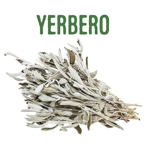 Miniatura 4 de Clúster de Salvia Blanca Premium 4oz (114g)  Hoja De Salvia Blanca Entera  Salvia officinalis  Santificación, Purificación, Metafísica, Wicca.