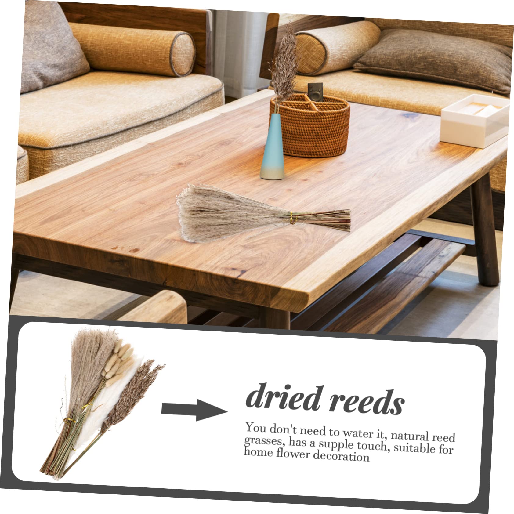 Cabilock Ramo De Flores Secas De Phragmites para Decoración De Hogar Arreglo Floral Natural para Bodas y Fiestas Estilo Rústico Mantenimiento